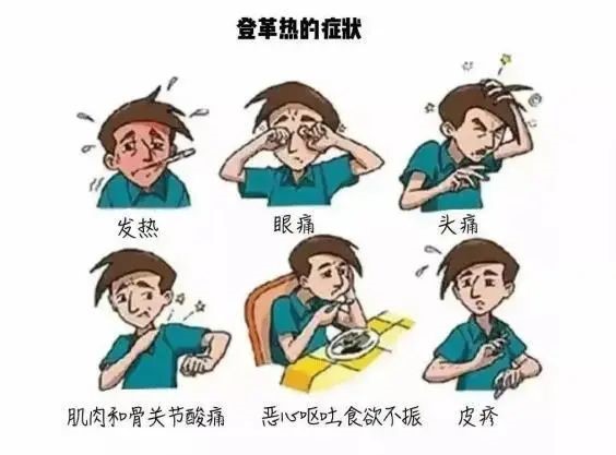 4ddd52f81816478181e2c0a0ae32668f.jpg
