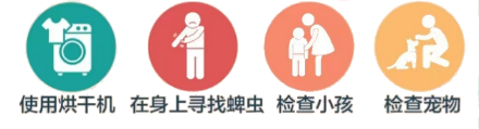 03f37c8c2d9741f1b8a913321acec359.png