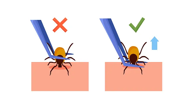 2000e279b7c9490e8ccac99a6c2517c9.png
